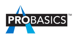 ProBasics Bariatric Transfer Bench